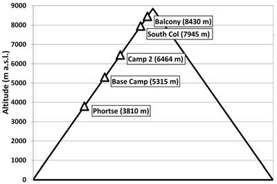 Frontiers | Heat Balance When Climbing Mount Everest